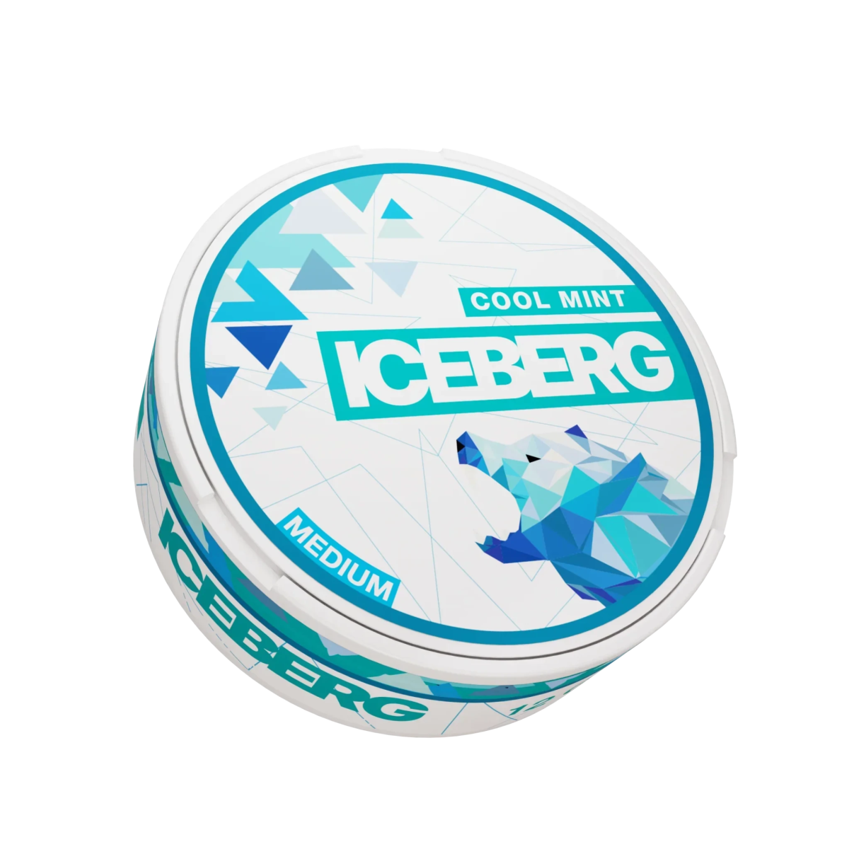 Iceberg Cool Mint medium - pouchesforyou