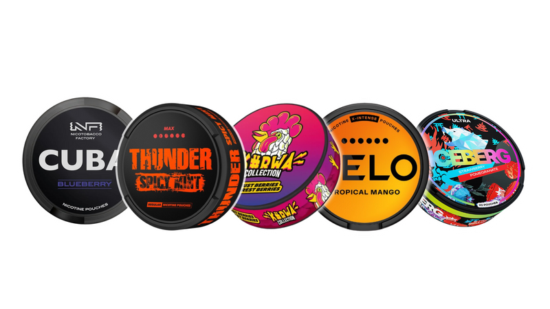 Nikotinbeutel kaufen – Auswahl an Snus Dosen von Pablo, CUBA, Iceberg und Velo bei pouchesforyou