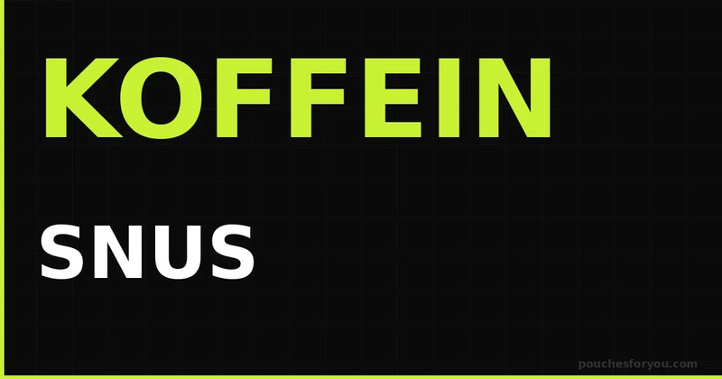 Koffein Snus kaufen – Energie ohne Nikotin