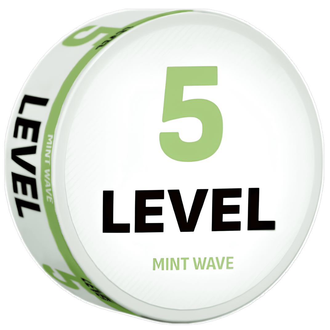 Level Snus 5 Mint Wave