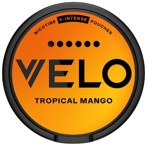 VELO 6 Tropical Mango X-Intense