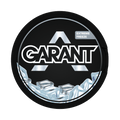 Garant Extreme Freeze – Nikotinbeutel kaufen bei pouchesforyou