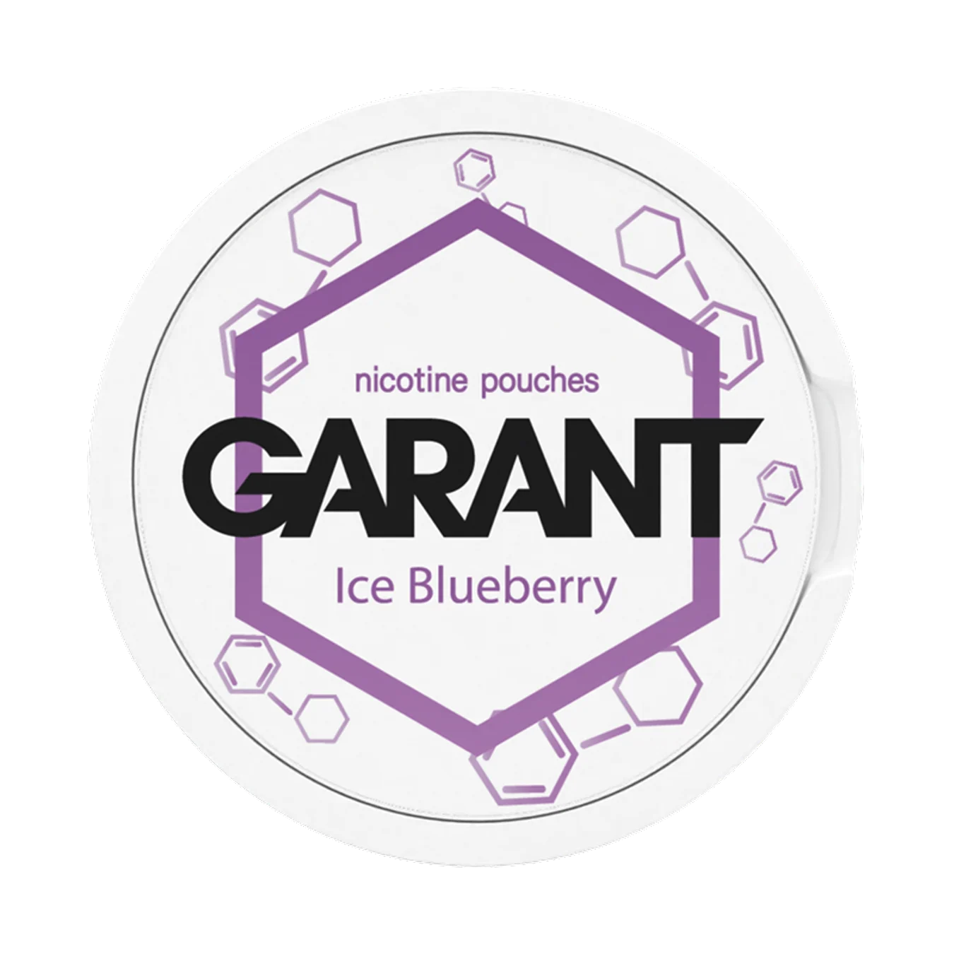 Garant ice blueberry snus dose