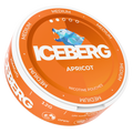 Iceberg Arasaka Medium