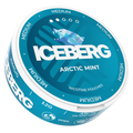 Iceberg Black Mint Medium