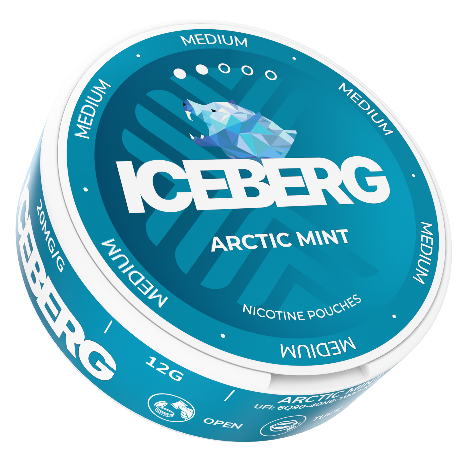 Iceberg Black Mint Medium
