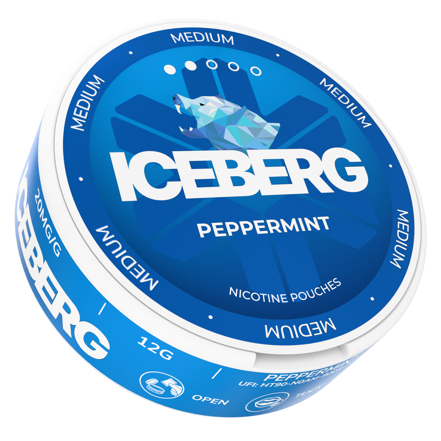Iceberg Mint Explosion Medium