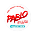 Pablo Frosted Mint – Nikotinbeutel kaufen bei pouchesforyou