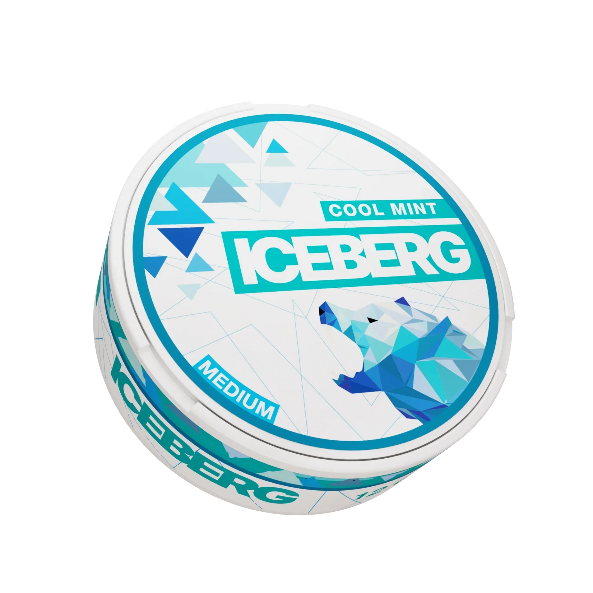 Iceberg Cool Mint medium - pouchesforyou