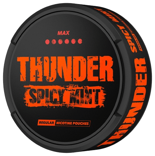 Thunder 6 MAX Spicy Mint - pouchesforyou