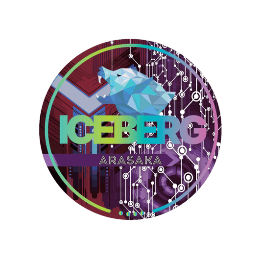 Iceberg Arasaka Extreme - pouchesforyou