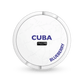 Cuba Blueberry